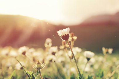 The SKINny on Fall Allergies