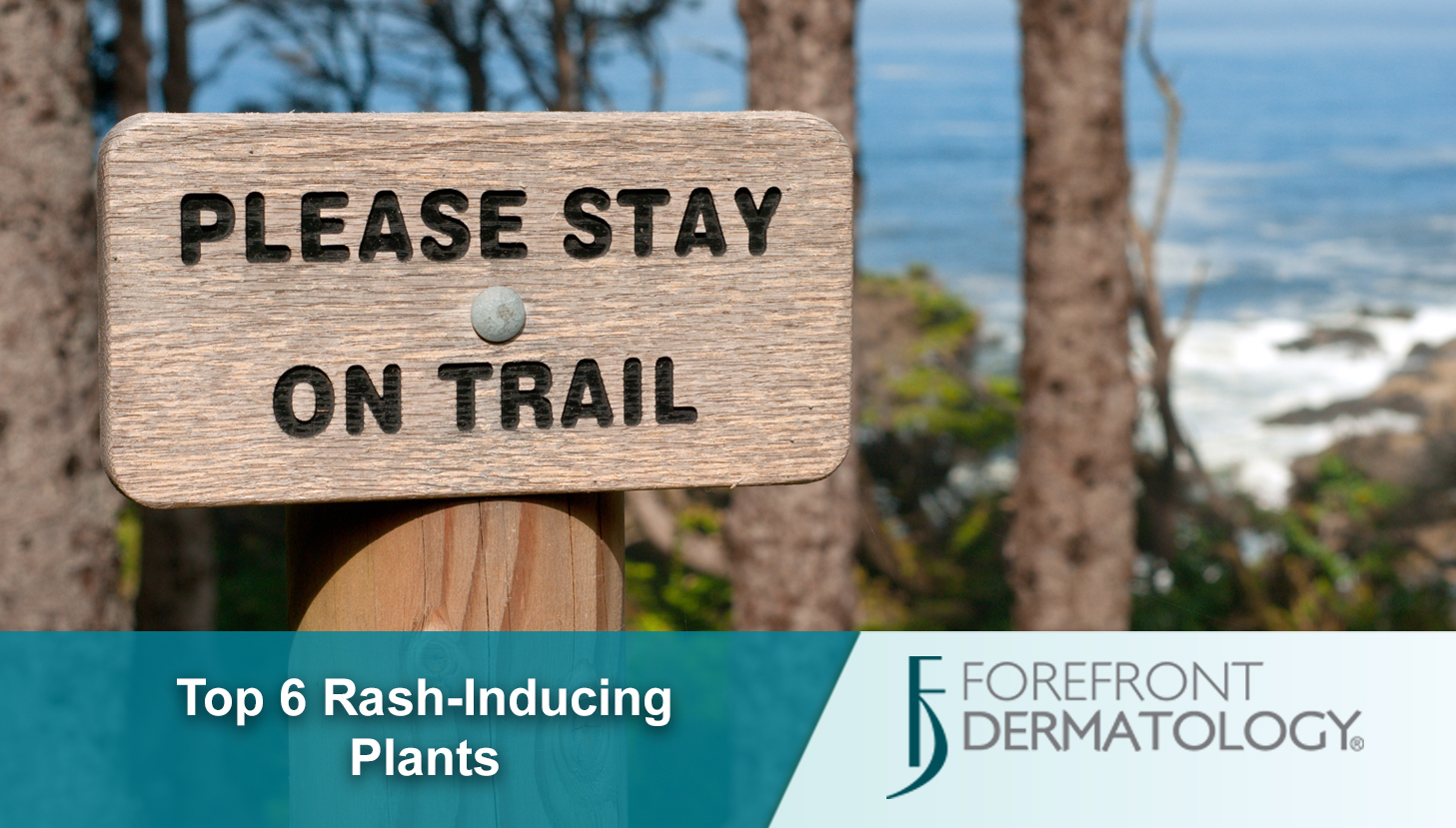 Top 6 Rash-inducing Plants